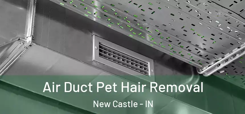  Air Duct Pet Hair Removal New Castle - IN