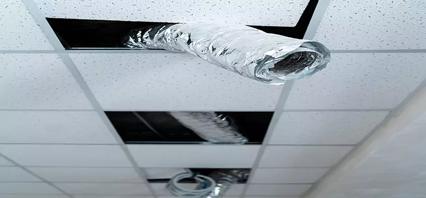 Our Air Duct Pet Hair Removal Services in New Castle, IN