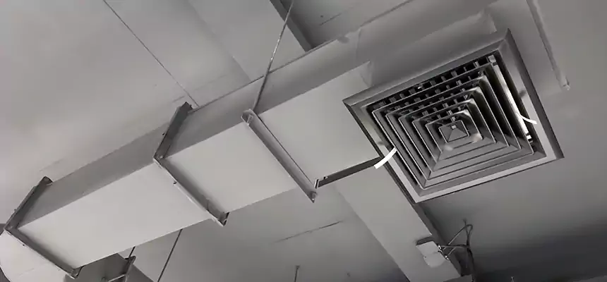 Our Pest Removal From Ducts Services in New Castle, IN