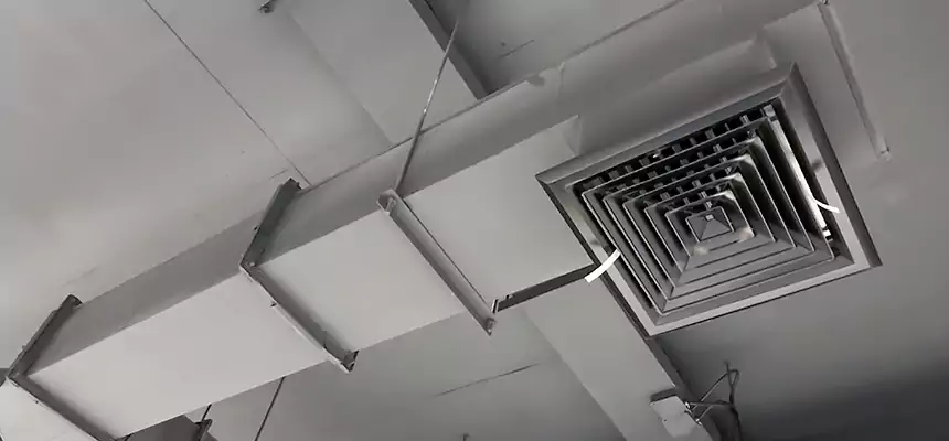 Our Rodent Droppings In Vents Services in New Castle, IN