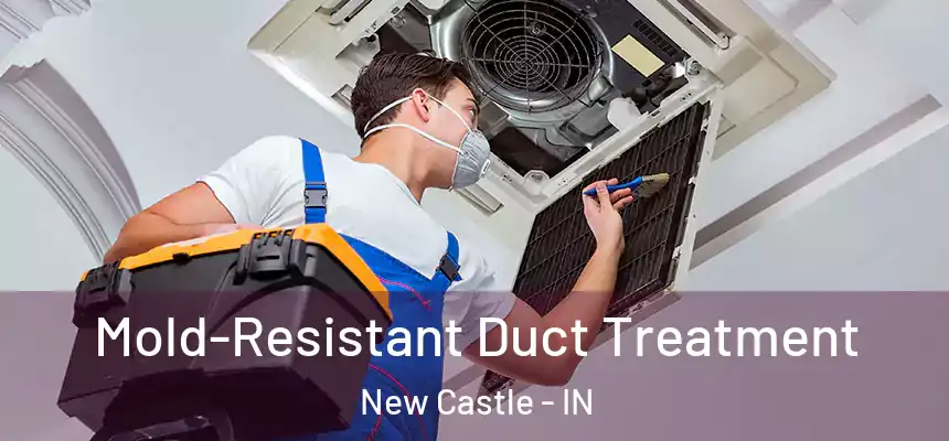  Mold-Resistant Duct Treatment New Castle - IN