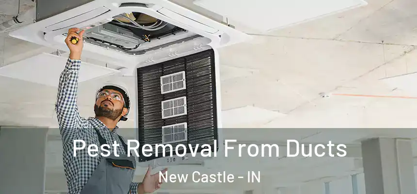  Pest Removal From Ducts New Castle - IN