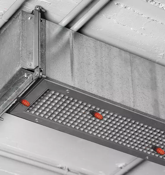 About Air Duct Cockroach Removal in New Castle, IN