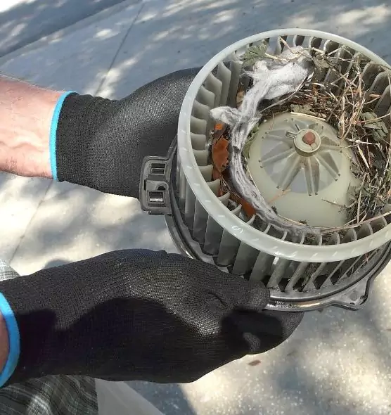 About Air Duct Rat Removal in New Castle, IN