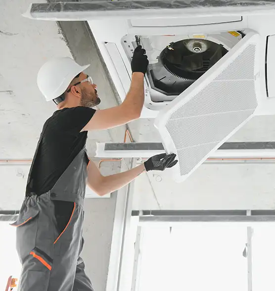 About Air Duct Rodent Removal in New Castle, IN