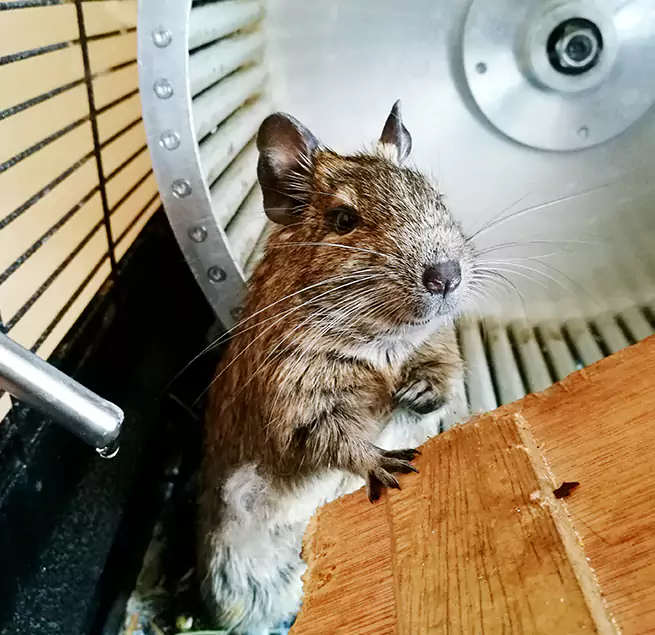 Why Homeowners & Businesses Trust Us New Castle, IN?